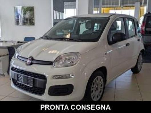usato FIAT Panda