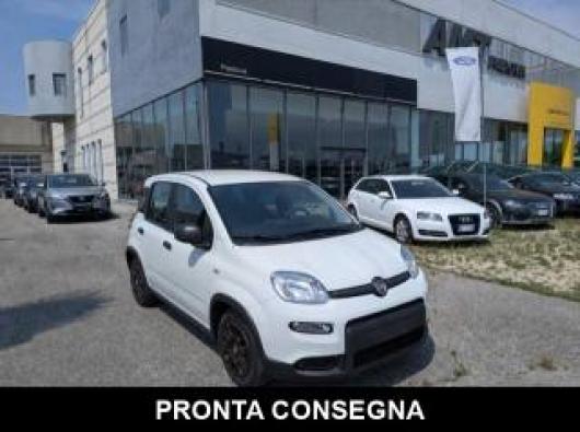 usato FIAT Panda