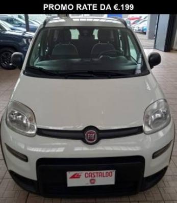 Panda