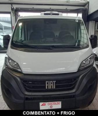usato FIAT Ducato