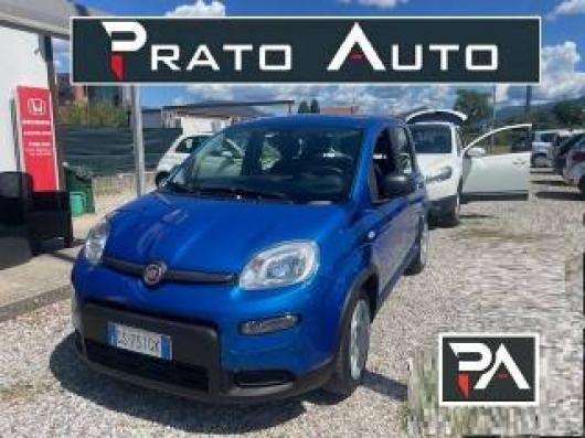 usato FIAT Panda