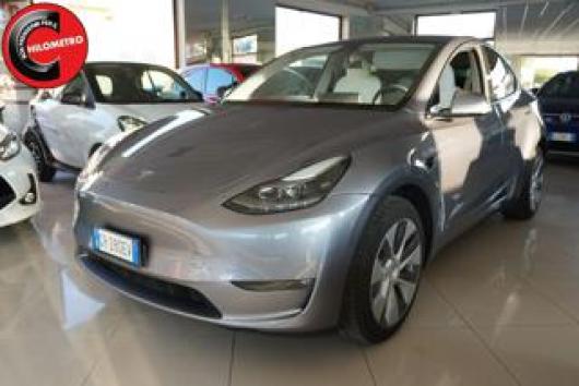 usato TESLA Model Y