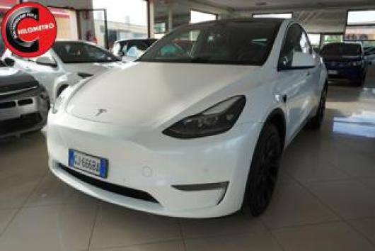 usato TESLA Model Y