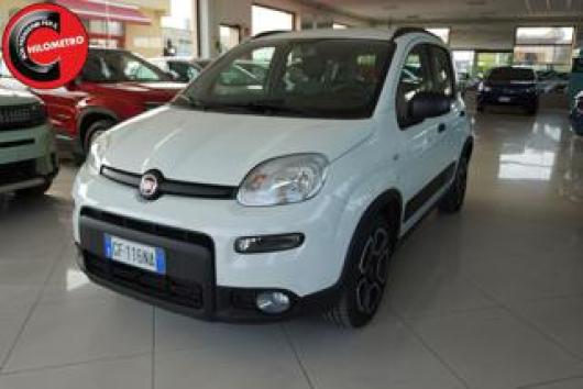 usato FIAT Panda