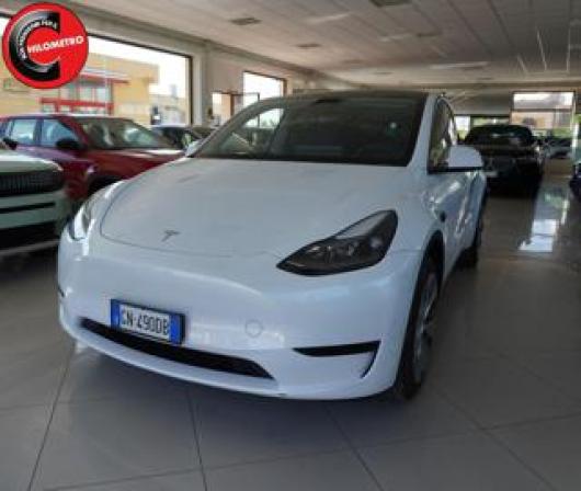 usato TESLA Model Y