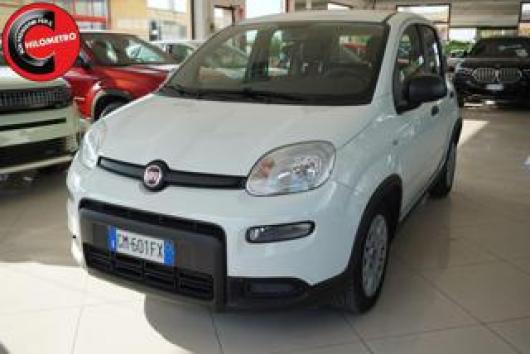 usato FIAT Panda
