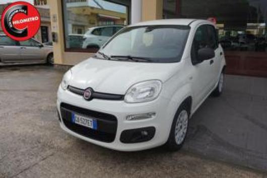 usato FIAT Panda
