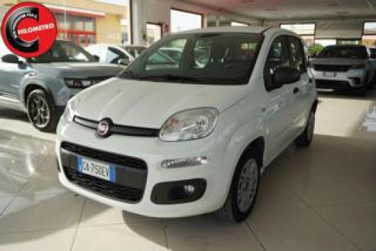 usato FIAT Panda
