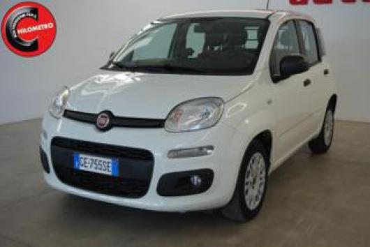 usato FIAT Panda