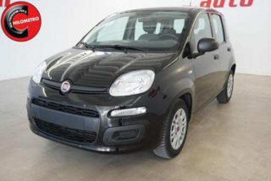 usato FIAT Panda