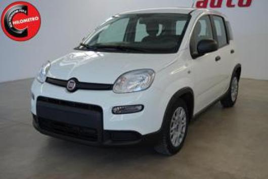 usato FIAT Panda