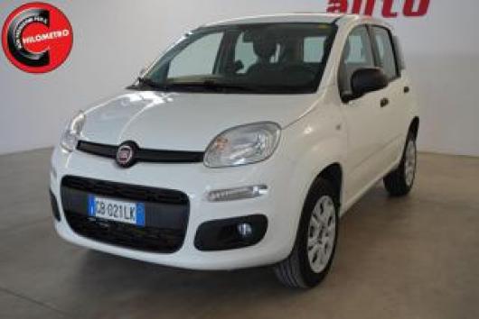 usato FIAT Panda