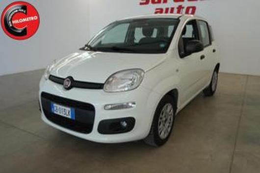 usato FIAT Panda