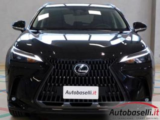 usato LEXUS NX 300h