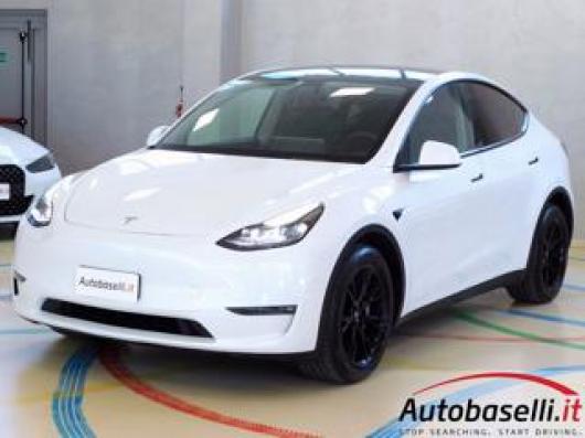 Model Y