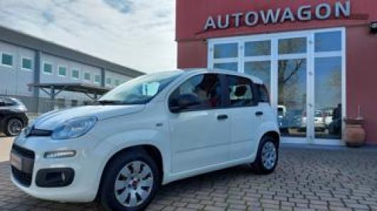 usato FIAT Panda