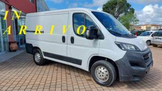usato FIAT Ducato