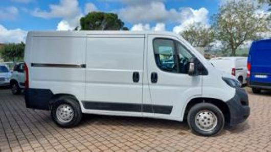 usato FIAT Ducato
