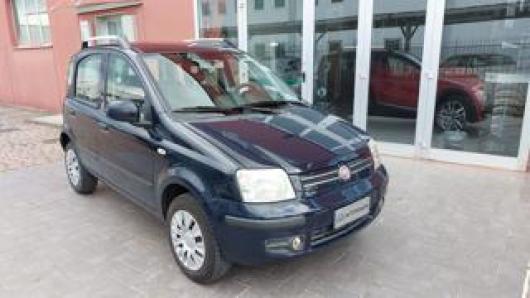 usato FIAT Panda