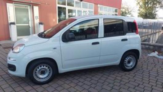 usato FIAT Panda