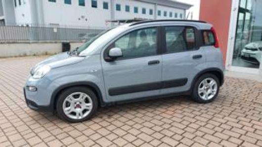 usato FIAT Panda