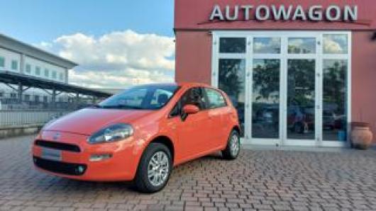 usato FIAT Punto