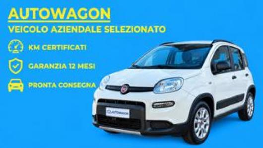 usato FIAT Panda