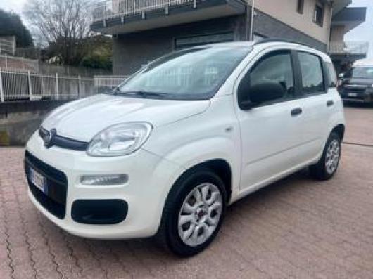 usato FIAT Panda