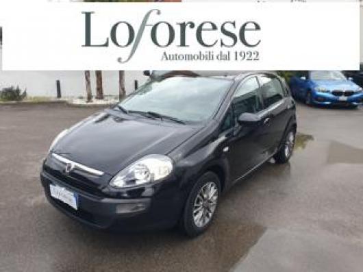 usato FIAT Punto Evo