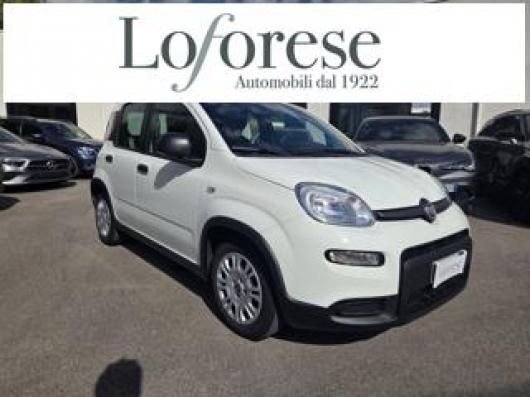 usato FIAT Panda