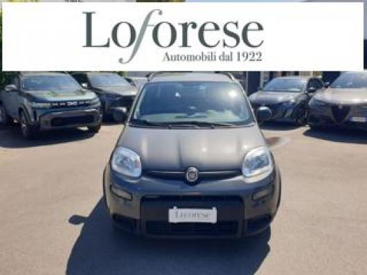 usato FIAT Panda