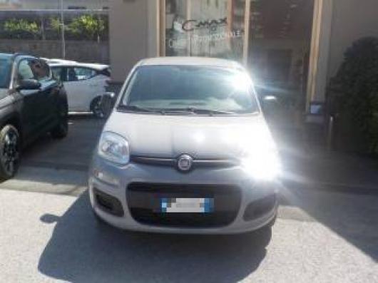 usato FIAT Panda