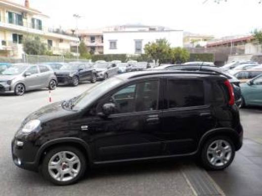 usato FIAT Panda