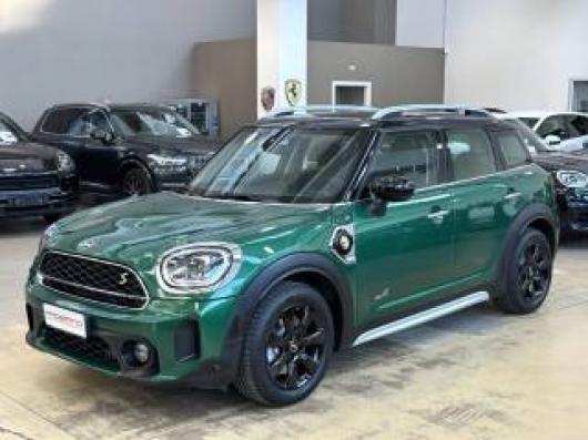 usato MINI Countryman