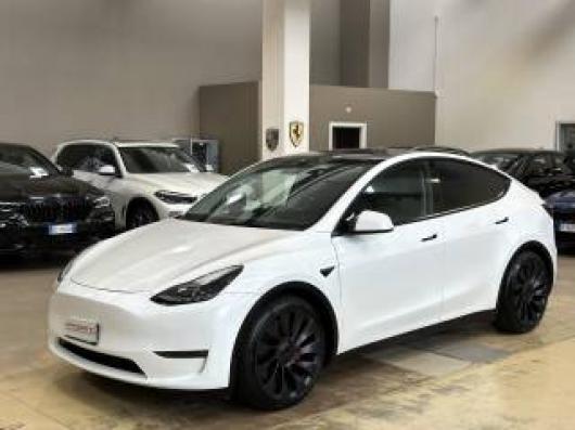 Model Y