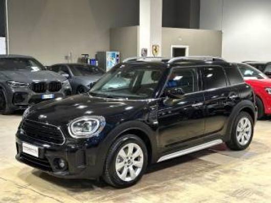 usato MINI Countryman
