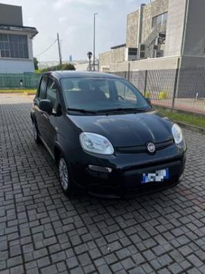 usato FIAT Panda