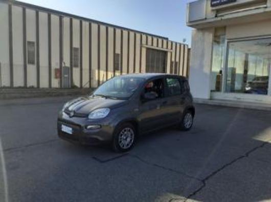 usato FIAT Panda