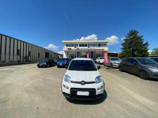 usato FIAT Panda