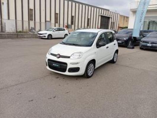 usato FIAT Panda