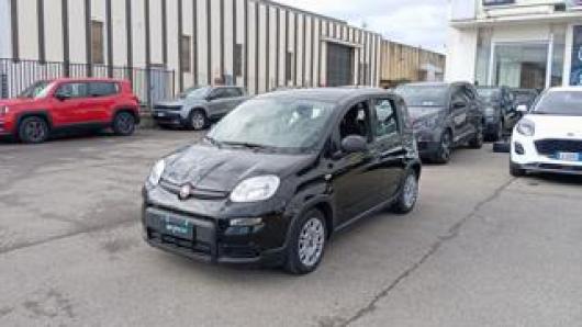 usato FIAT Panda