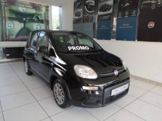 usato FIAT Panda
