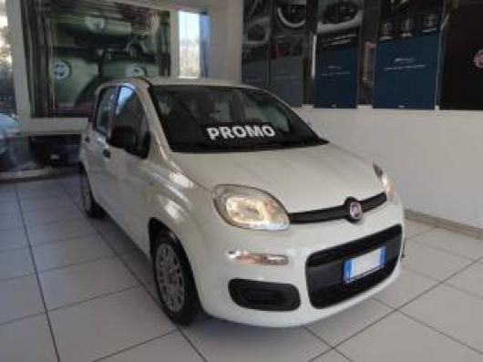 usato FIAT Panda