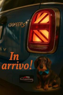 usato MINI Countryman