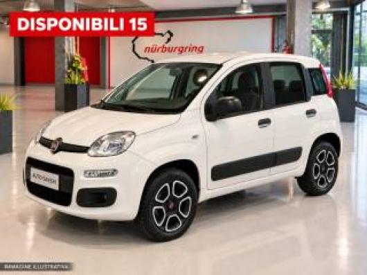 usato FIAT Panda
