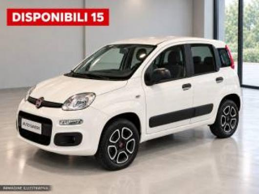 usato FIAT Panda