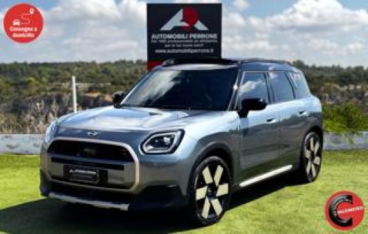 usato MINI Countryman