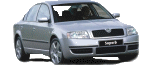 Auto Concessionarie SKODA...e non solo