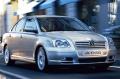 Avensis
