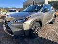 usato LEXUS NX 300